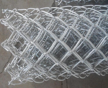 Galvanized chain link fence