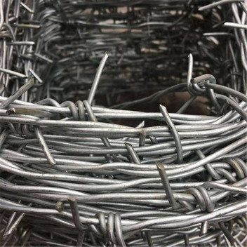 Barbed wire mesh